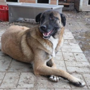 JUANITA - reserviert Manuela - vermittelt