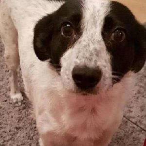 KAJA - reserviert NadineH - vermittelt