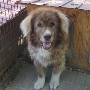 KANO - vermisst 08/21