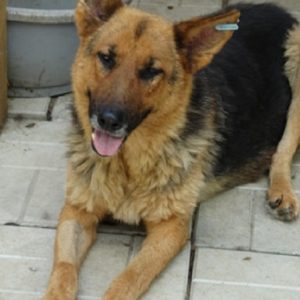 KASA - reserviert Manuela - vermittelt