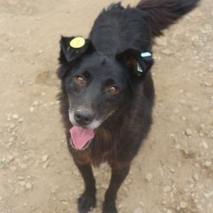 KASIM - vermisst 02/2021