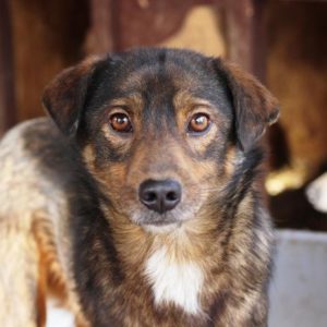 KIANO - reserviert KM - vermittelt