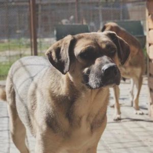 KIIROI - vermisst 08/21