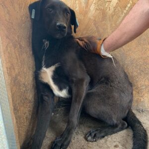 KUCKIE reserviert NadineH (27/09) vermittelt