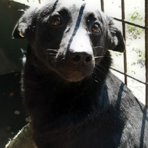 LADY - reserviert Manuela vermittelt