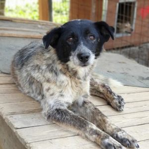 LENYA - reserviert TH Filderstadt - vermittelt