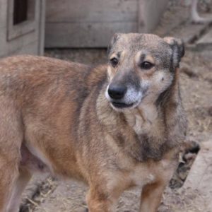 LUMI - vermisst 06/2021