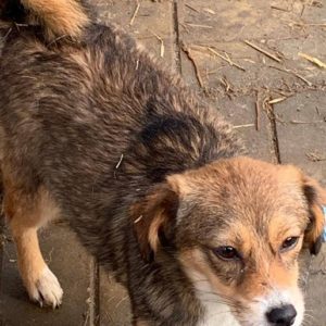 LUNI - reserviert THL - vermittelt