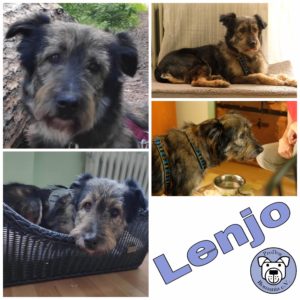 Lenjo in 63773 Goldbach