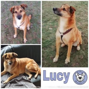 Lucy in 58256 Ennepetal