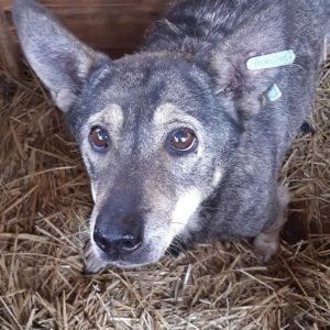 MAJALA - reserviert Nadine H. - vermittelt