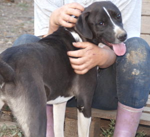 MANDRU - RBB 15.03.2021