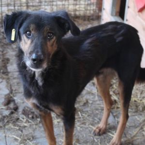 MARVIN - RBB 11.07.2022