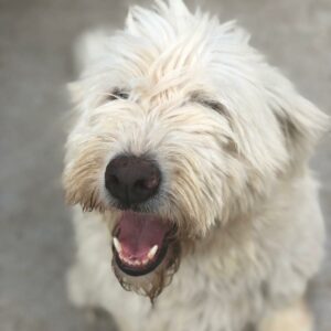 MARYLIN - reserviert Manuela vermittelt