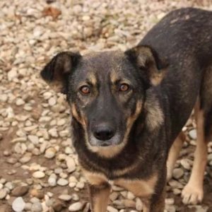 MIAA - vermisst 08/2021