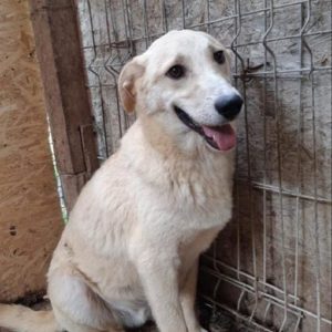 MILES - reserviert Manuela - vermittelt