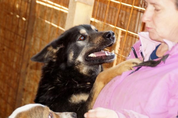 MILOU - reserviert TH Burgdorf vermittelt – Bild 7