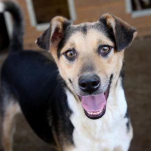 MINA - vermisst 11/2021