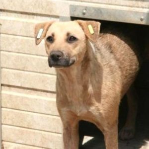 MONJA - vermisst 04/2021