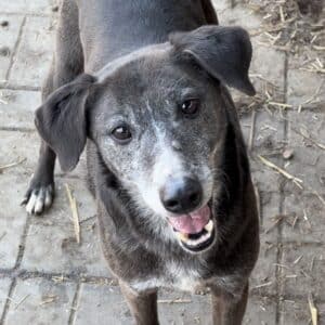 JEAN DOE (♀) - RBB 06/24