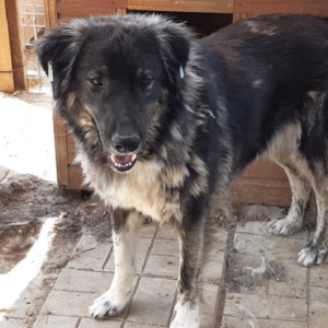 NASKA - vermisst 07/2021