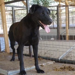 NEVIA - reserviert Manuela - vermittelt