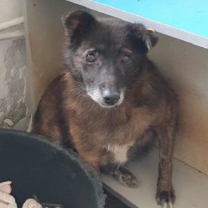 NOEMA - nicht mehr transportfähig, bleibt vor Ort - RBB 11/23