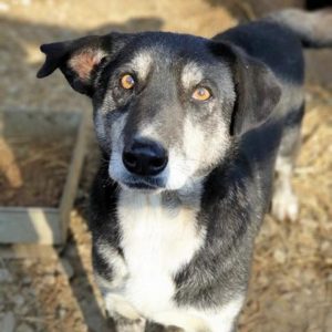 NOLO - vermisst 08/21