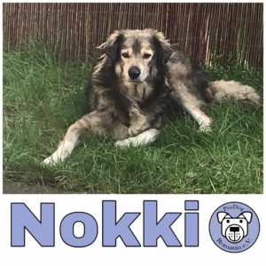 Nokki in in 46499 Hamminkeln