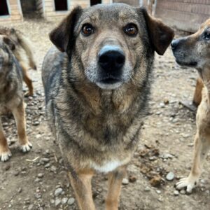 KADIA - vermisst 07/23