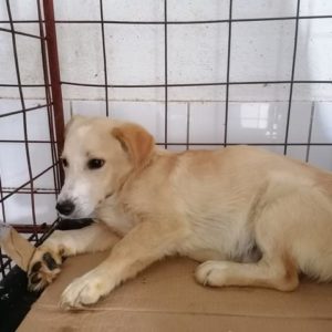 PODI – vermisst 02/2022