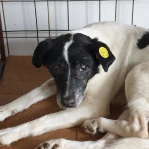 REJAH - vermisst 05/2021