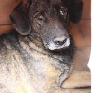 RUMER - vermisst 08/21