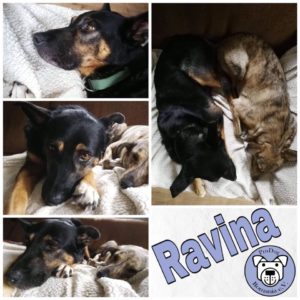 Ravina in 53773 Hennef (Sieg) - reserviert