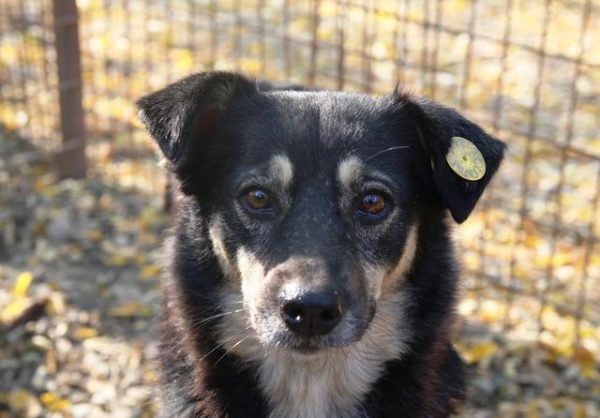 SAMILA - vermisst 10/21 – Bild 4