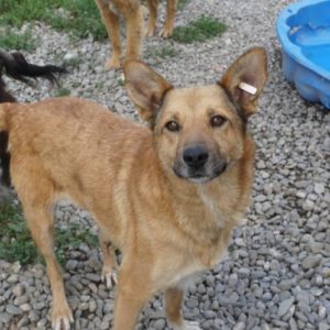 SKEI - vermisst 05/2022