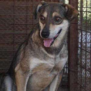 SPLASH - vermisst 08/21