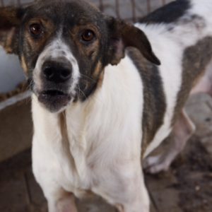 STINE - vermisst 11/2021