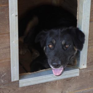 TALIA – vermisst 09/2021