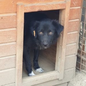 TENN - vermisst 11/2021