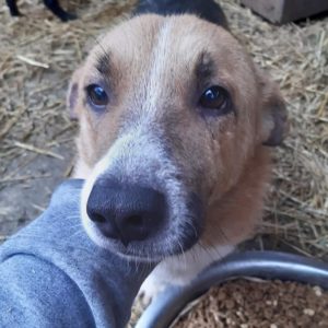 TEO - reserviert - vermittelt