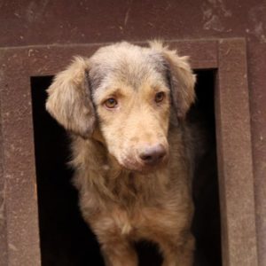 THESA - vermisst 08/21