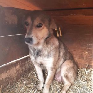 TIADA - reserviert NadineH - vermittelt