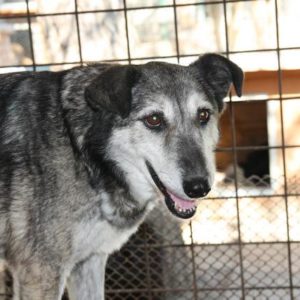 TIMOTEO - vermisst 07/2021