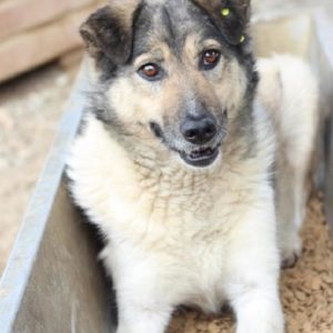 TOCHO - vermisst 11/2021