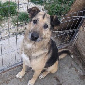 TONIE - reserviert Manuela - vermittelt