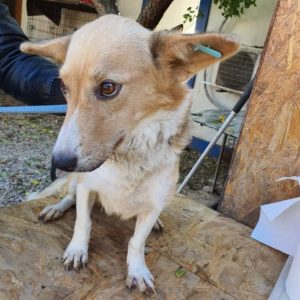 TRIXI - vermisst Ende 2020