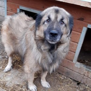 VENTRO - reserviert Manuela - vermittelt