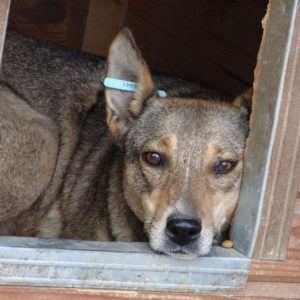 VIVI - RBB 04.12.2022