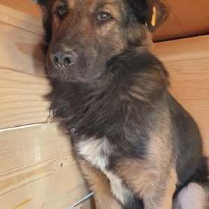 WASKER - vermisst 08/2021